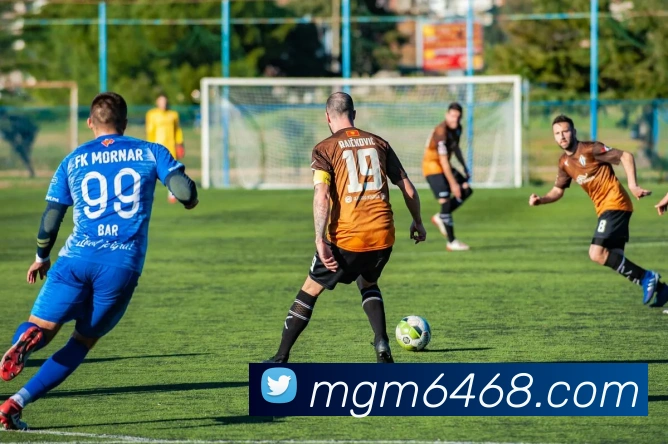 美高梅官网首页APP 体育赛事宣传图